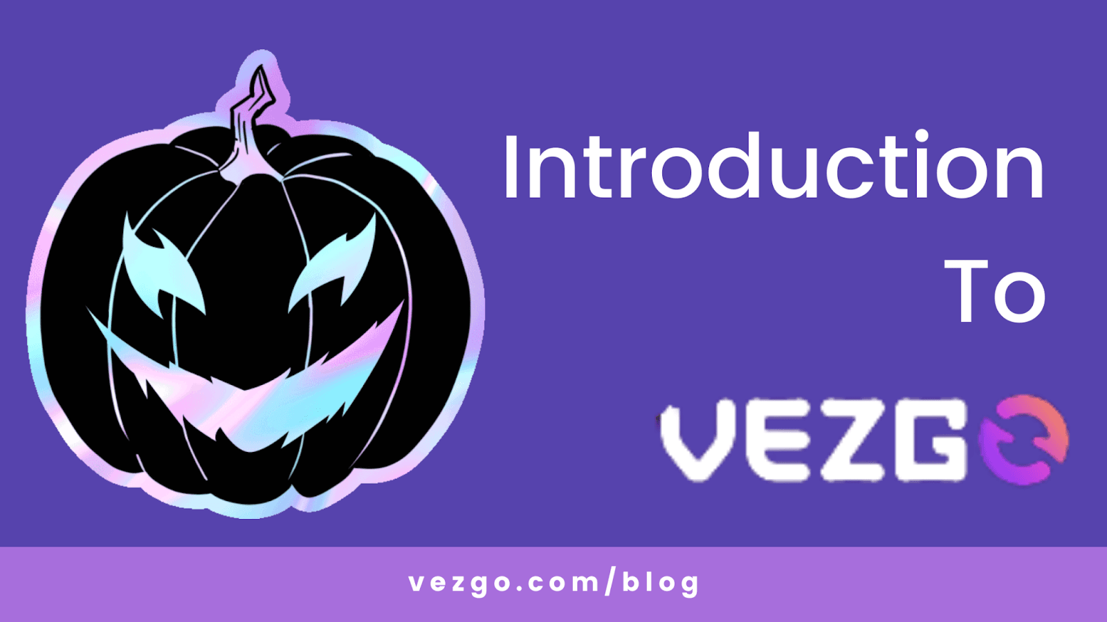 A Quick Guide to Vezgo.